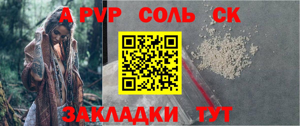 Альфа ПВП СК Котлас