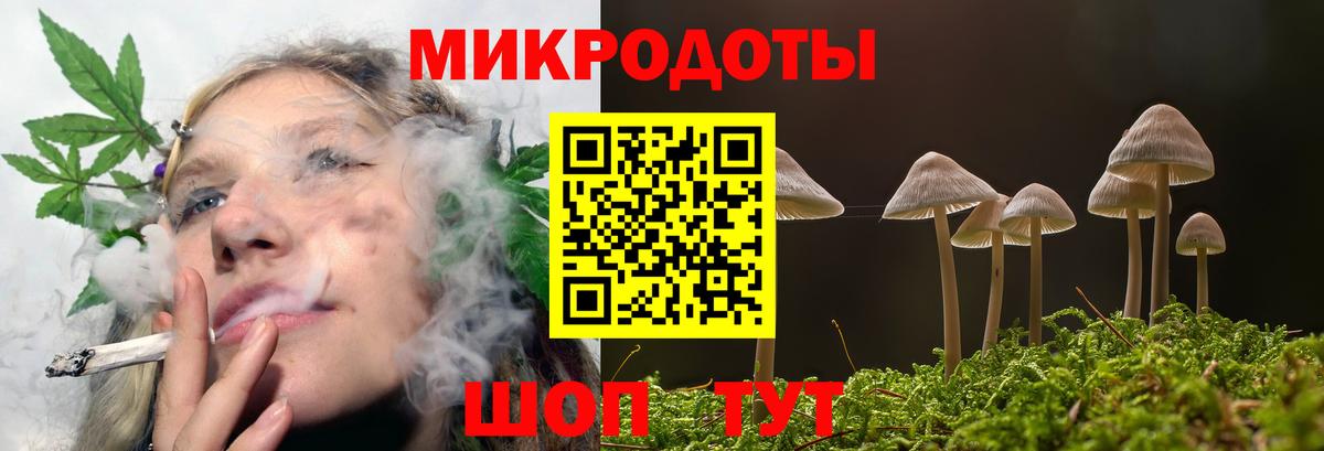 Псилоцибиновые грибы MAGIC MUSHROOMS  Псилоцибиновые грибы MAGIC MUSHROOMS  Вход с VPN  Котлас 